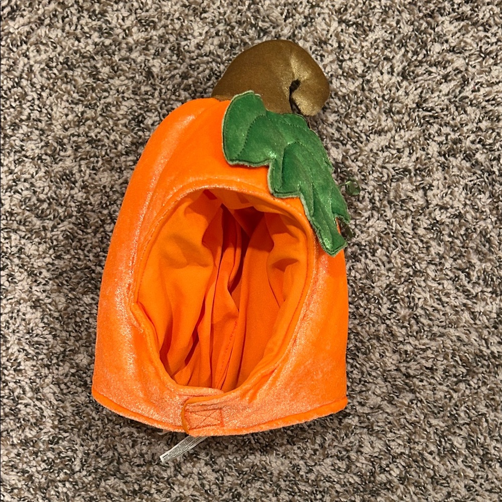Pumpkin Costume for Head
